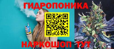 каннабис Ачхой-Мартан