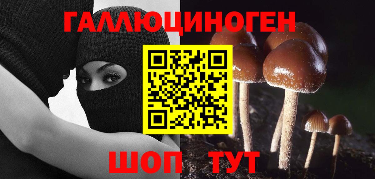 Галлюциногенные грибы Magic Shrooms Обь