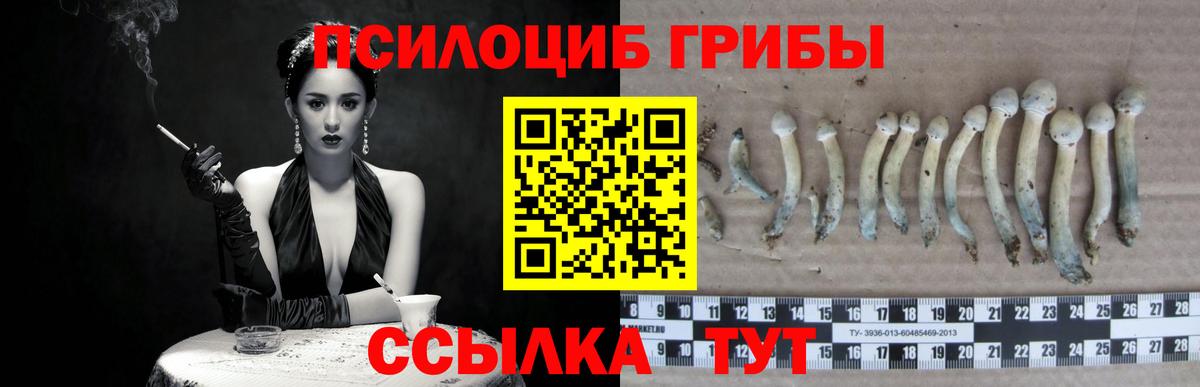наркотики  Вход с VPN  Обь  Галлюциногенные грибы Magic Shrooms 